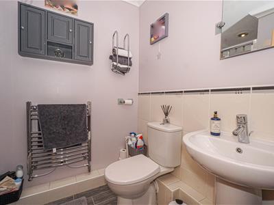 Picture 20